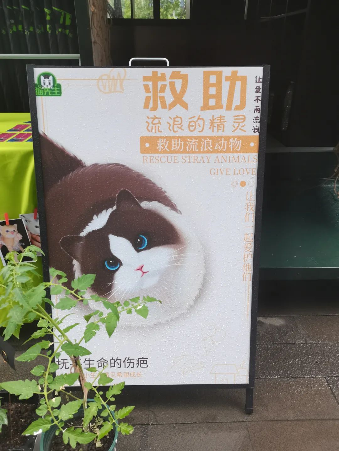 垃圾分類運營方案、智能分類設(shè)備廠家.jpg
